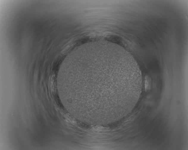 X0000080191059200612152008