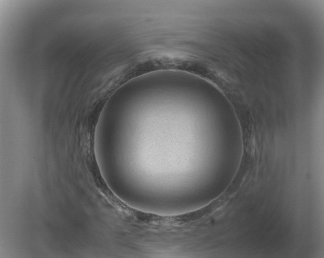 X0000080191061200612152008