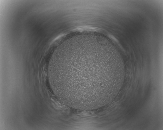 X0000080191063200612152008