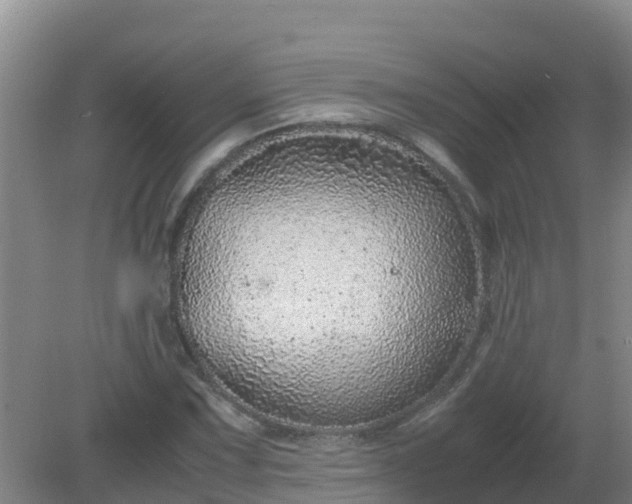 X0000080191067200612152008