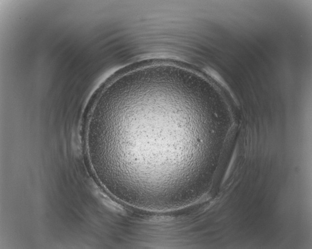 X0000080191068200612152008