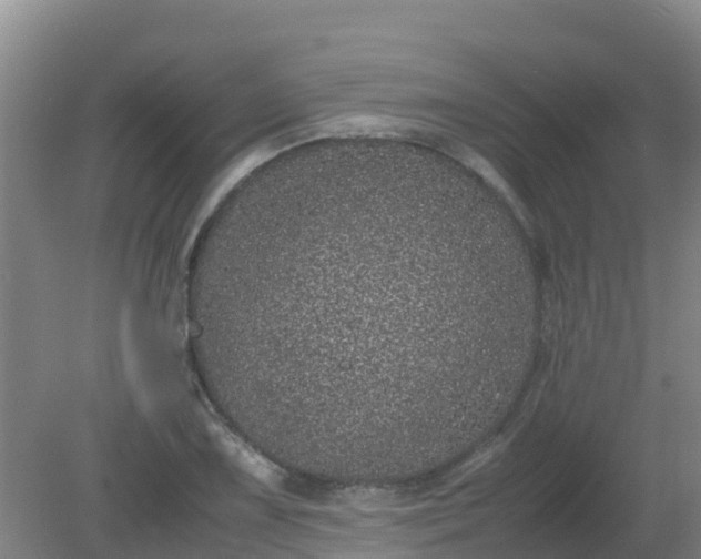 X0000080191075200612152008