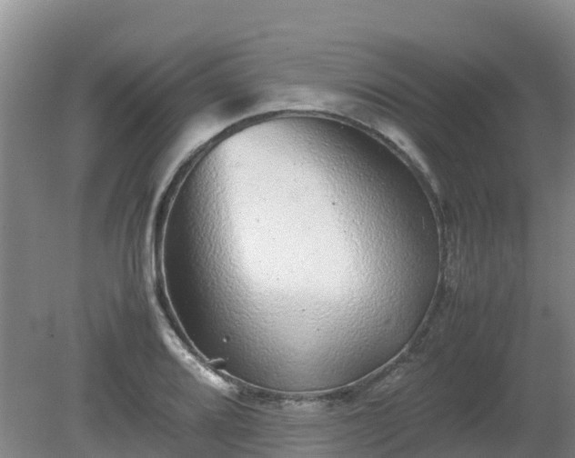 X0000080191080200612152008