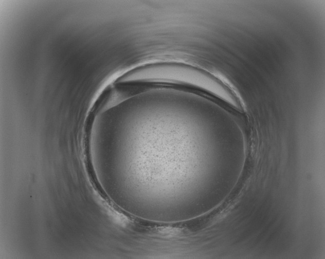 X0000080191085200612152008