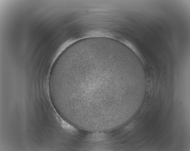 X0000080191094200612152008