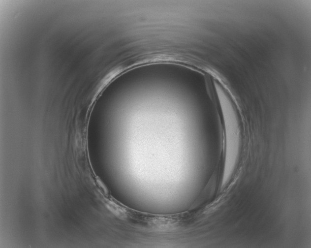 X0000080191097200612152008