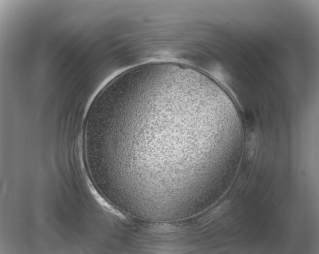 X0000080191100200612152008