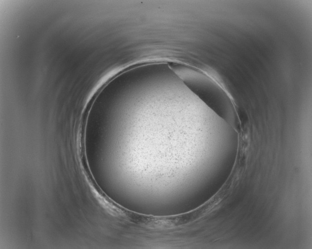 X0000080191101200612152008