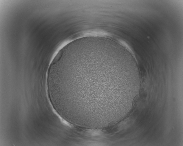X0000080191103200612152008