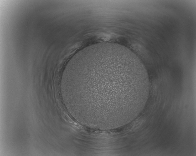 X0000080191105200612152007