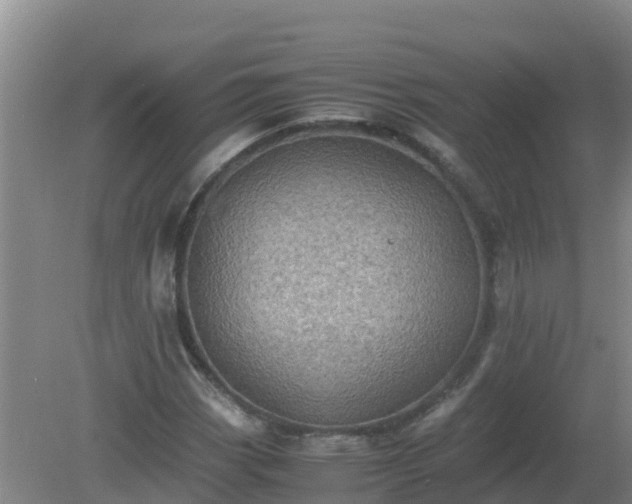 X0000080191113200612152007