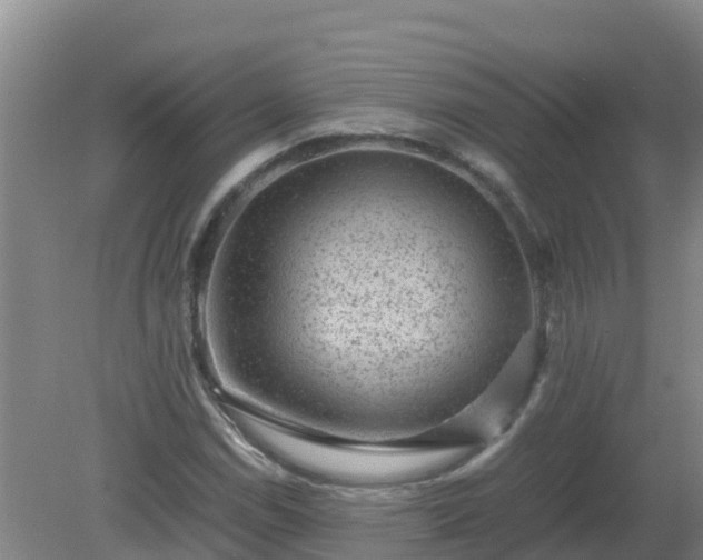 X0000080191114200612152007