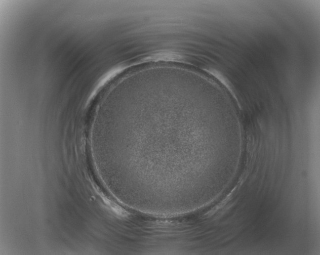 X0000080191115200612152007