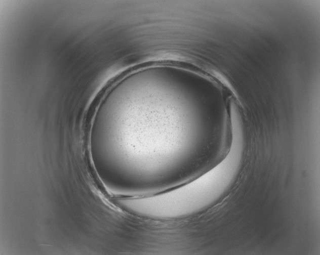 X0000080191116200612152007