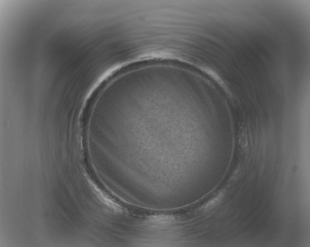 X0000080191118200612152007