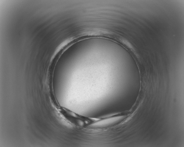 X0000080191122200612152007