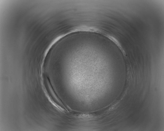 X0000080191128200612152007