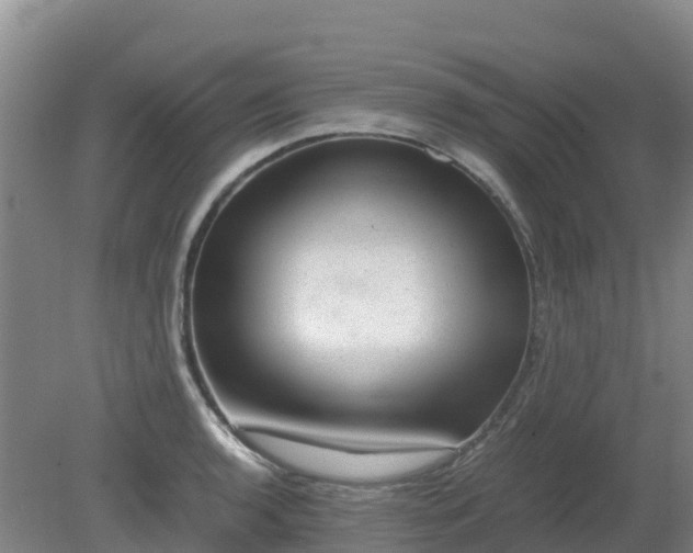 X0000080191136200612152007