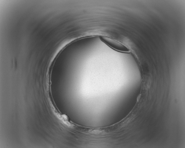 X0000080191140200612152007