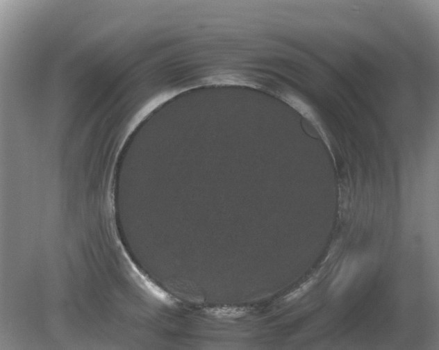 X0000080191141200612152007