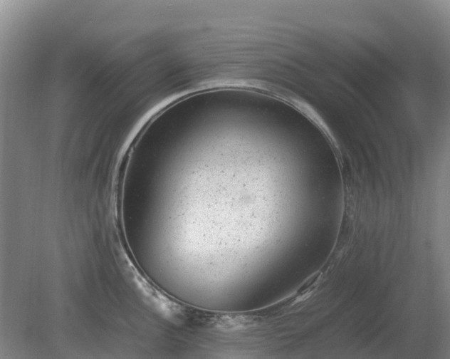 X0000080191148200612152007