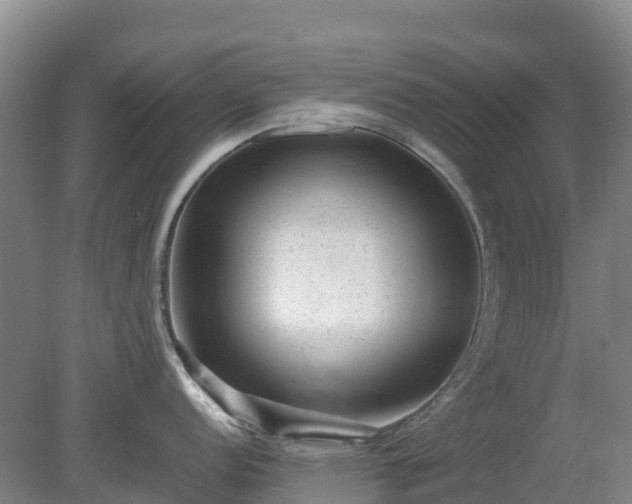 X0000080191152200612152007