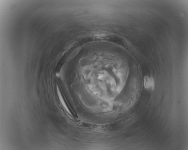 X0000080191155200612152007