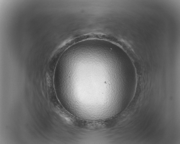 X0000080191159200612152007