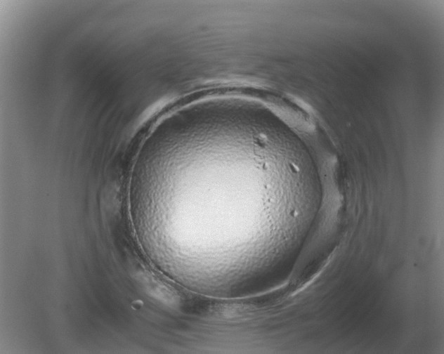 X0000080191163200612152007