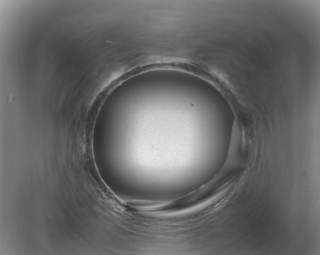X0000080191165200612152006
