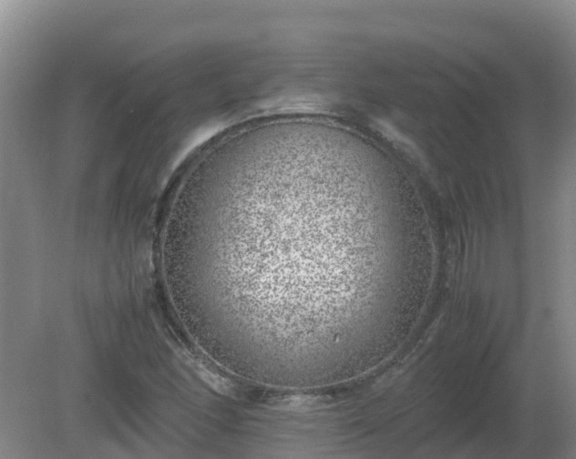 X0000080191166200612152006