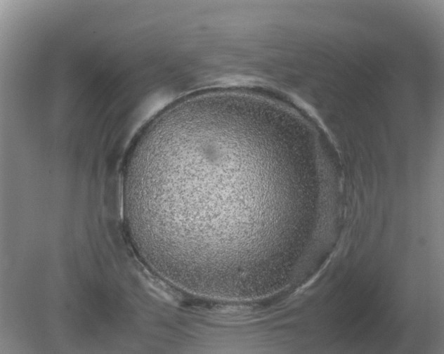 X0000080191171200612152006