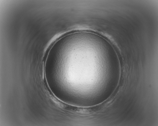 X0000080191175200612152006