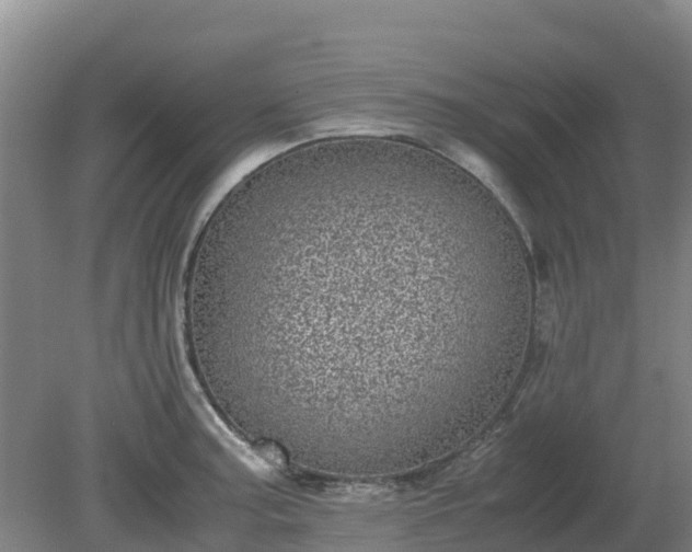 X0000080191187200612152006
