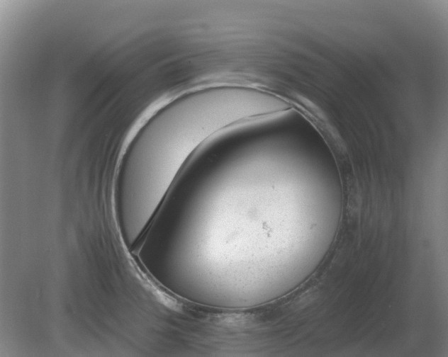 X0000080191188200612152006
