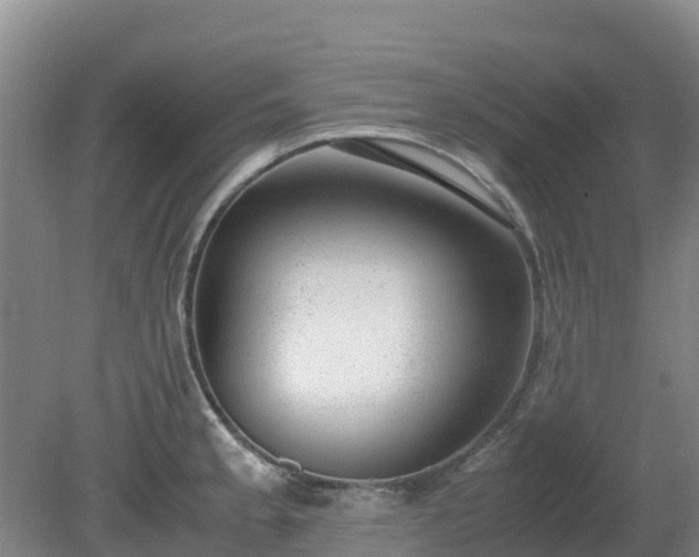 X0000080191189200612152006