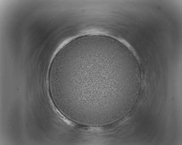 X0000080191191200612152006