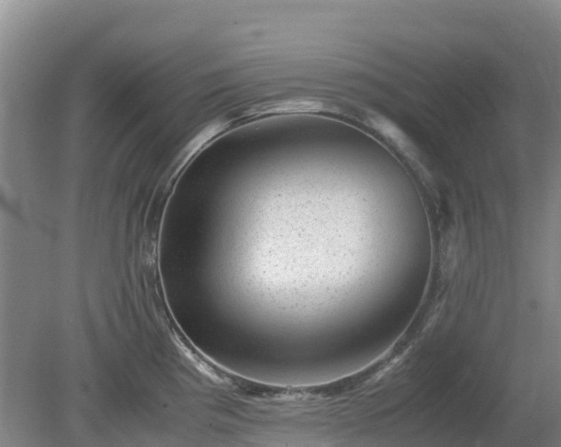 X0000080191193200612152006