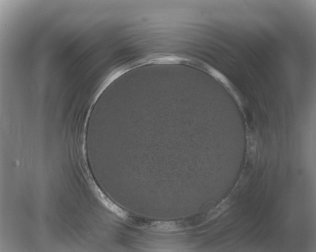 X0000080191194200612152006