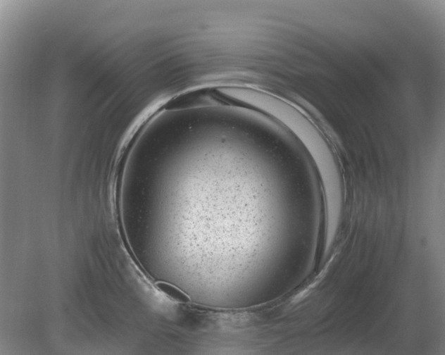 X0000080191196200612152006