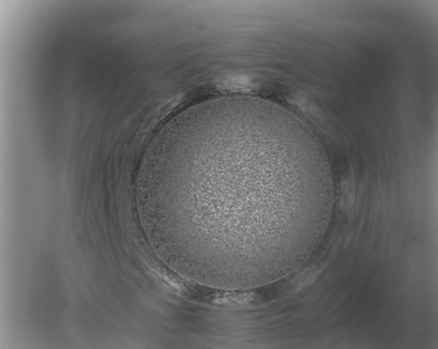 X0000080191201200612152005