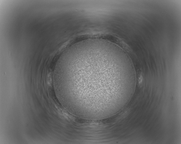 X0000080191204200612152005
