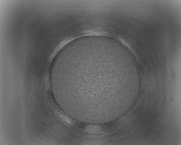 X0000080191215200612152005