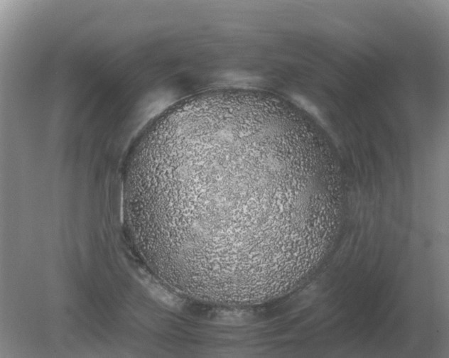 X0000080191219200612152005