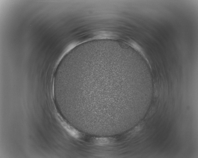 X0000080191227200612152006