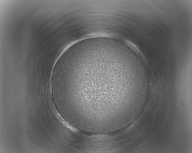 X0000080191236200612152006