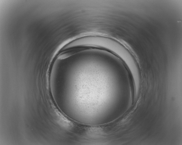 X0000080191238200612152006