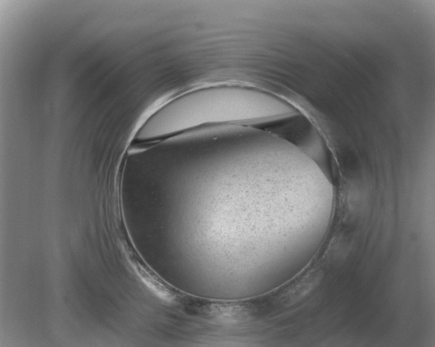 X0000080191242200612152006