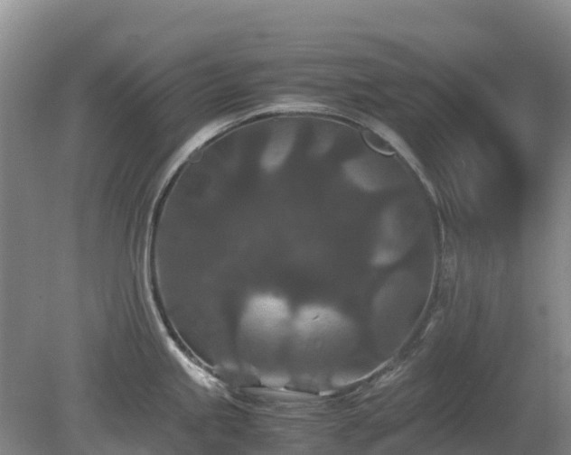 X0000080191245200612152006