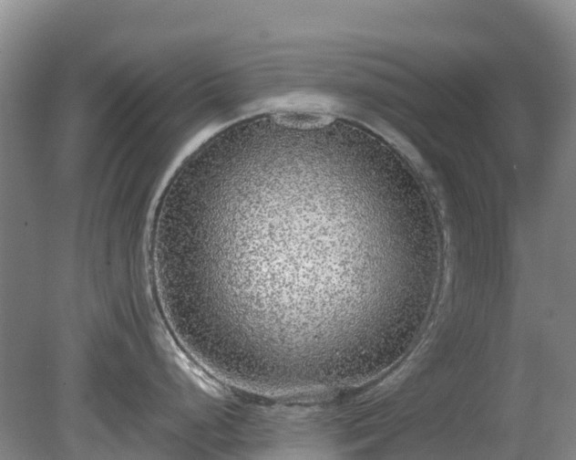 X0000080191248200612152006